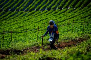 BIB: 
                            <button type="button" onclick="openModal(19160837)" class="btn btn-primary btn-sm float-right btn-popup" data-toggle="modal" data-target=".modal-high-quality">
                        <i class="fas fa-shopping-cart"></i> Add to Cart
                    </button>
                                            <button type="button" onclick="isThisMe(19160837, true)" class="btn btn-success btn-sm float-right btn-popup btn-isme hidden" data-toggle="tooltip" data-placement="bottom" title="นี่คือรูปของคุณใช่ไหม คลิกที่นี่เพื่อเอาเข้าอัลบั้ม">
                        <i class="fas fa-plus"></i> Add to album
                    </button>
                    <button type="button" onclick="isThisMe(19160837, false)" class="btn btn-warning btn-sm float-right btn-popup btn-isnotme hidden">
                        <i class="fas fa-ban"></i> Remove from album
                    </button>